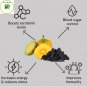 Organic Garcinia 90 Capsules Natural HAC For Fat Burning Weigt Loss Supplement