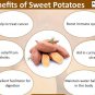 Organic Sweet Potato (Ipomoea batatas) Yam Powder 200 g - Gluten Free
