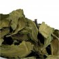 Organic Dried Kalanchoe Pinnata Leaves (Bryophyllum Pinnatum) Leaf of Life Herb 450 g