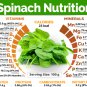 Organic Spinach 200 g Powder Enrich With Natural Vitamins & Minerals Strengthen Bones