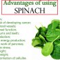 Organic Spinach 200 g Powder Enrich With Natural Vitamins & Minerals Strengthen Bones