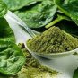 Organic Spinach 200 g Powder Enrich With Natural Vitamins & Minerals Strengthen Bones