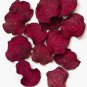 Organic Dehydrated Beetroot Slices 150 g Dried Vegetable From Sri Lanka