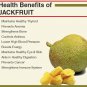 Organic Green Jackfruit Flour Natural & Healthy - HS Code 08109090