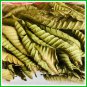 Dried Guava Leaf Powder 100% Pure Organic For Antidiabetic & Hair Loss 200g