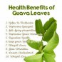 Dried Guava Leaf Powder 100% Pure Organic For Antidiabetic & Hair Loss 200g
