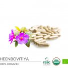 Organic Heenbovitiya/Osbeckia octandra (Liver Plant) 60 Capsules Cure Liver Damage