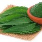 Organic Dried Neem/Margosa/Azadirachta Indica Leaf Powder Body Skin & Hair Care 200 g