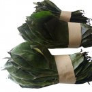 Organic Dried Soursop/Graviola/Guanabana/Annona Muricata Natural Herbal 200 Leaves