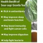 Organic Dried Soursop/Graviola/Guanabana/Annona Muricata Natural Herbal 200 Leaves