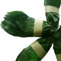 Organic Dried Soursop/Graviola/Guanabana/Annona Muricata Natural Herbal 200 Leaves