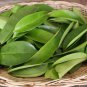 Organic Dried Soursop/Graviola/Guanabana/Annona Muricata Natural Herbal 200 Leaves