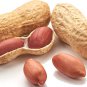 Organic Healthy Groundnut/Peanuts/Monkey Nuts (Arachis hypogaea) With Shell 450 g (1 lb)