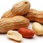Organic Healthy Groundnut/Peanuts/Monkey Nuts (Arachis hypogaea) With Shell 450 g (1 lb)