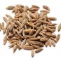 Cumin Jeera (Cuminum cyminum) Powder 100 g Premium Quality Grounded Herbal Spice