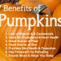 Organic Pumpkin Powder Pure Natural Healthy High Quality Powder