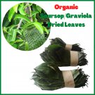 Organic Air Dried Soursop/Graviola/Guyabano Herbal (Annona muricata) 100 Leaves