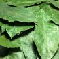 Organic Air Dried Soursop/Graviola/Guyabano Herbal (Annona muricata) 100 Leaves