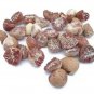 Organic Whole Dried Betel Nut (Areca Catechu) Supari Mouth Freshener Chewing gum 100 g