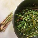 Organic Dried Dehydrated Lemongrass/Cymbopogon Citratus Food Flavoring Spice