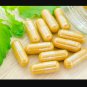 Fenugreek /Methi Powder 90 Capsules Lowering Blood Sugar & Boosting Testosterone