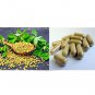 Fenugreek /Methi Powder 90 Capsules Lowering Blood Sugar & Boosting Testosterone