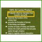 Organic Polpala (Aerva lanata) Powder 200 g Herbal Remedy For Urinary & Bladder Health