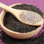 Basil/Sabja/Tukmaria/Falooda (Ocimum basilicum) Herb Healthy Natural Seeds 200 g