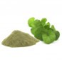 Organic Centella asiatica Leaf Ground Powder 200 g For Concentration & Memory Support