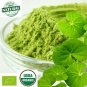 Organic Centella asiatica Leaf Ground Powder 200 g For Concentration & Memory Support