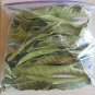 Dried Mango 50 Leaves Organic Blood Sugar Control and Fertility Enhance-