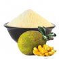 Organic Dried Jackfruit 50 Seeds From Sri Lanka