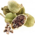 Organic Ceylon Cardamom High Quality Whole Pods & Seeds 100 g