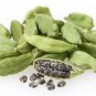 Organic Ceylon Cardamom High Quality Whole Pods & Seeds 100 g