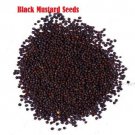 Organic Black Mustard Whole Seeds (Brassica) 100 g For Mustard Paste, Oil & Spice