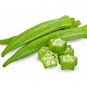 Organic Dehydrated/Dried Okra/ladies Fingers Slices 100g For Soups Salads