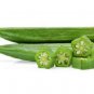 Organic Dehydrated/Dried Okra/ladies Fingers Slices 100g For Soups Salads