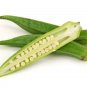 Organic Dehydrated/Dried Okra/ladies Fingers Slices 100g For Soups Salads