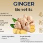 Organic Ginger(Zingiber Officinale) 90 Capsules Antioxidant, Anti-aging & Immunity