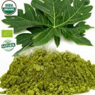 Organic Carica Papaya Leaf Powder 100 g for Immunity Boost Organic Carica Papaya Leaf Powder 100 g for Immunity Boost