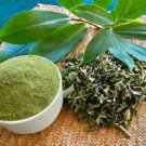 Organic Insulin Plant Canereed (Costus Igneus) Leaf Powder 200g For Blood Sugar Control & Diabetic Organic Insulin Plant Canereed (Costus Igneus) Leaf Powder 200g For Blood Sugar Control & Diabetic