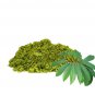 Organic Insulin Plant Canereed (Costus Igneus) Leaf Powder 200g For Blood Sugar Control & Diabetic