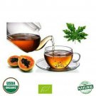 Organic Carica Papaya Leaf 50 Tea Bags Good For Improve Health Body Immunity