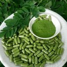 Organic Moringa Leaf Powder 120 Capsules Antioxidant & Very Nutritious Herbal Pills Organic Moringa Leaf Powder 120 Capsules Antioxidant & Very Nutritious Herbal Pills