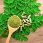 Organic Moringa Leaf Powder 120 Capsules Antioxidant & Very Nutritious Herbal Pills