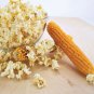 Organic Dried Corn Seeds 200 g Un Popped Food Maize Raw & Pure For Popcorn Making