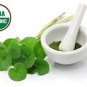 Organic Gotukola/Indian Penny wort(Centella Asiatica)Leaf Powder 100 g Memory Enhancer