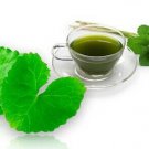 Organic GotuKola (Centella asiatica) Indian Penny wort Leaf Herbal 50 Tea Bags