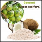Organic Coconut (Cocos nucifera) Flour Gluten Free 100% Natural Ceylon Coconuts 250 g Organic Coconut (Cocos nucifera) Flour Gluten Free 100% Natural Ceylon Coconuts 250 g