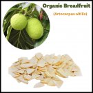 Organic  Breadfruit Dehydrated/Air Dried(Artocarpus altilis) From Sri Lanka 250 g